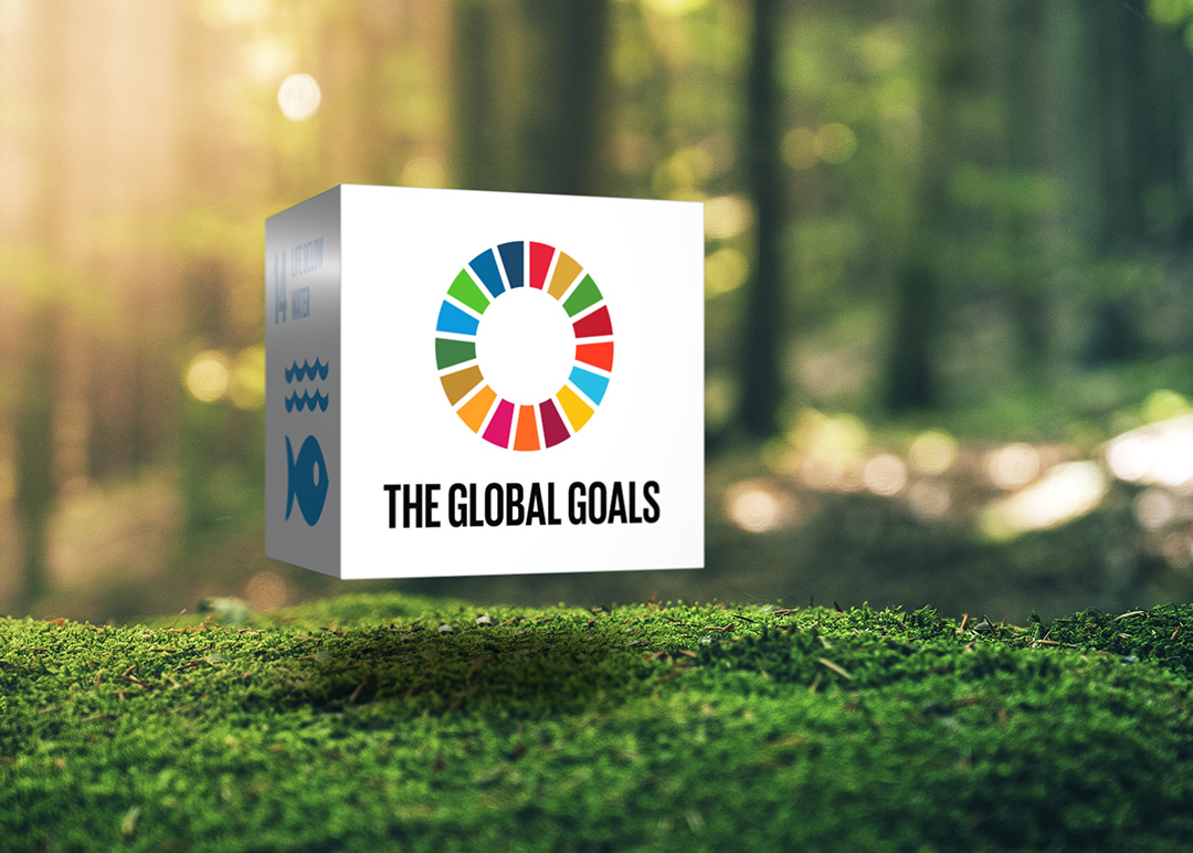 SDGs