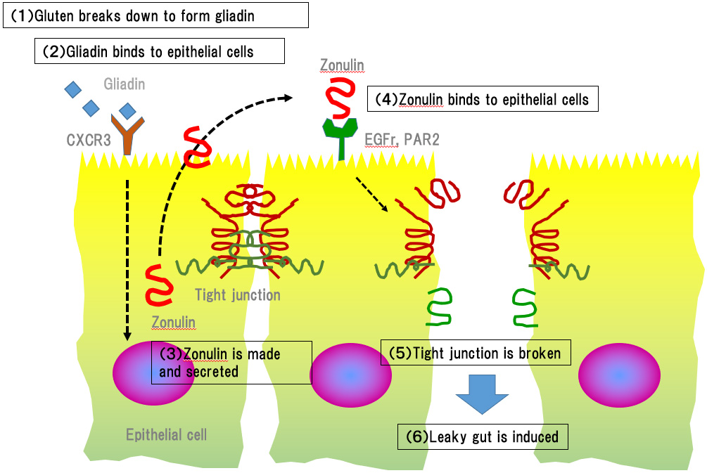 Mechanism