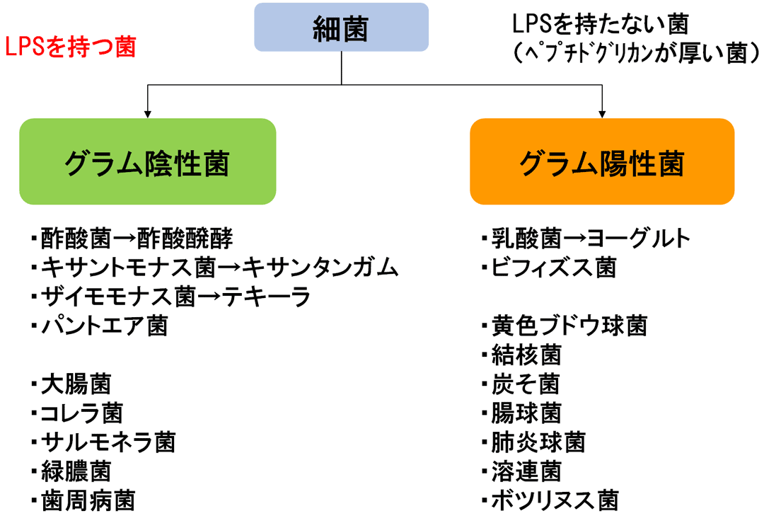 と 違い の 陽性 は 陰性