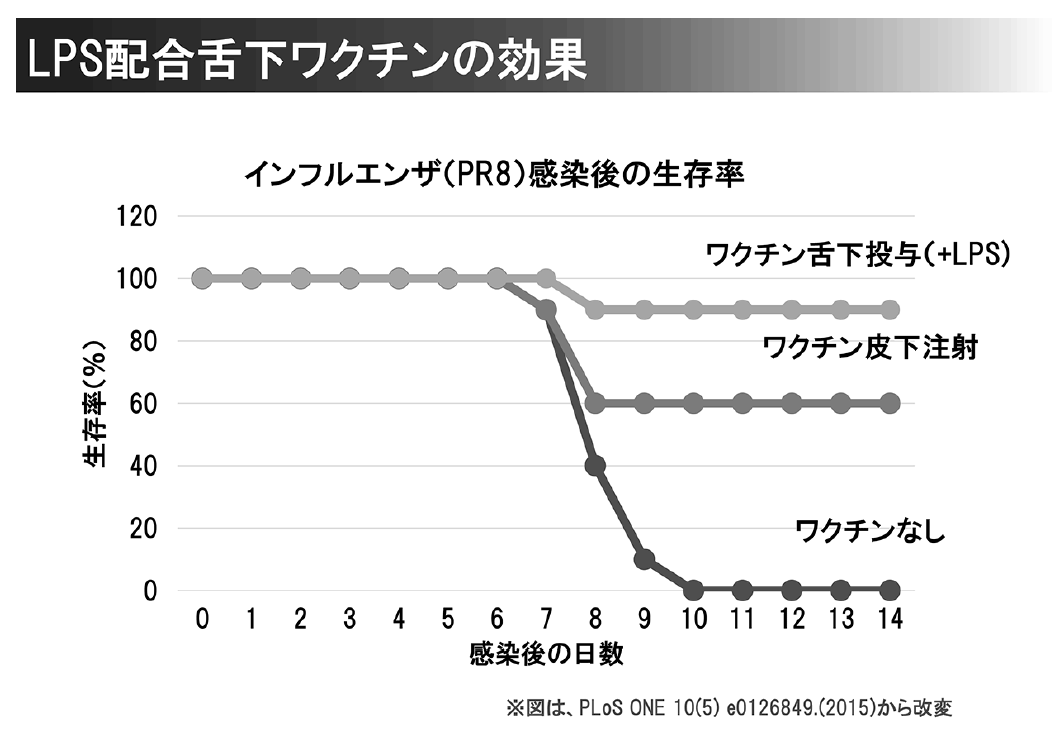 LPS配合舌下ワクチンの効果