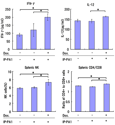 図3　IP-PA1経口投与の免疫系に及ぼす影響