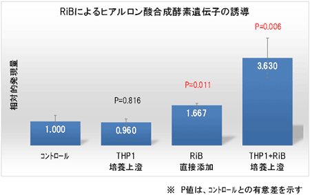 LPSで刺激したマクロファージから分泌される因子が線維芽細胞のヒアルロン酸合成を3倍高める