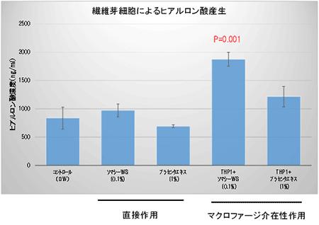 LPSで刺激したマクロファージから分泌される因子が線維芽細胞のヒアルロン酸合成を高める