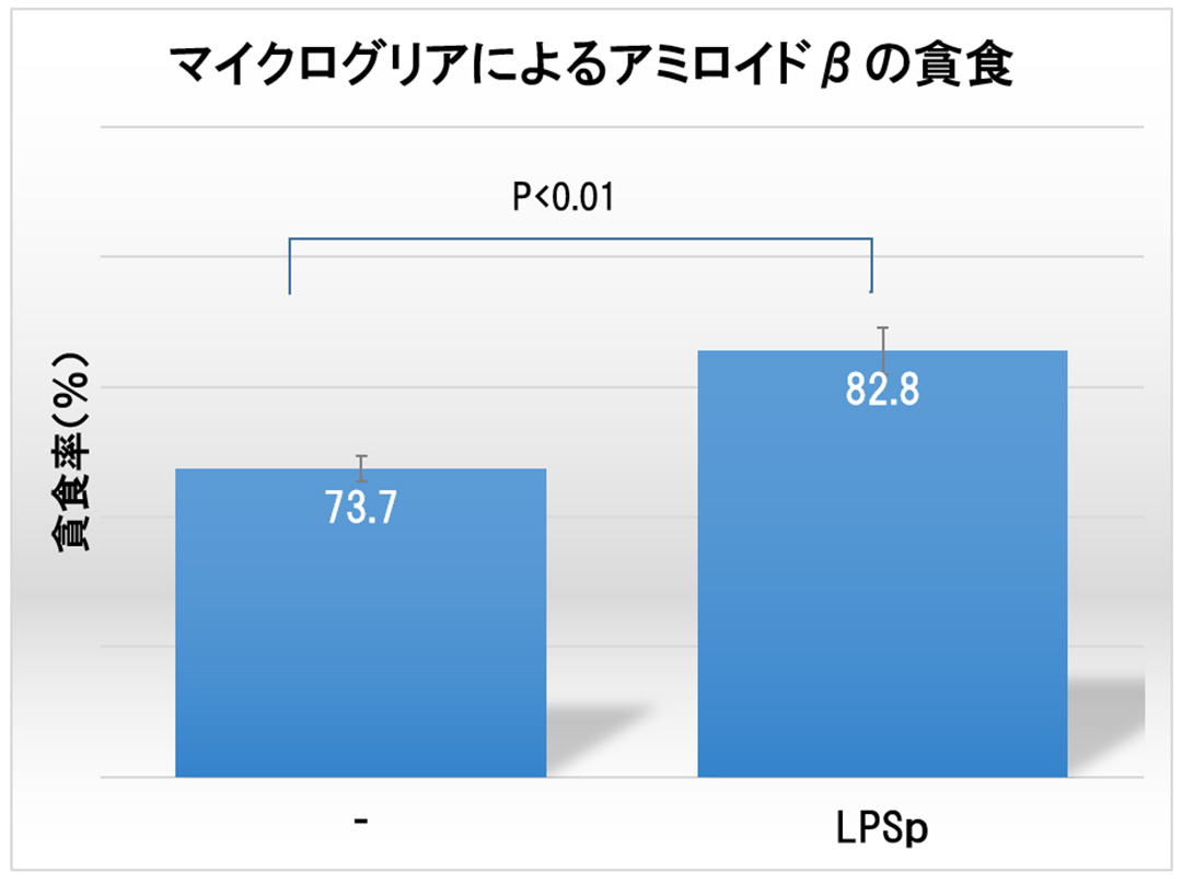 マイクログリアによるアミロイドβの貪食