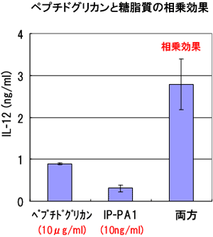 ペプチドグリカンとLPSの相乗効果