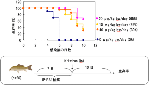 図4