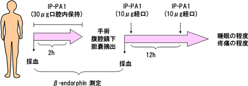 図1