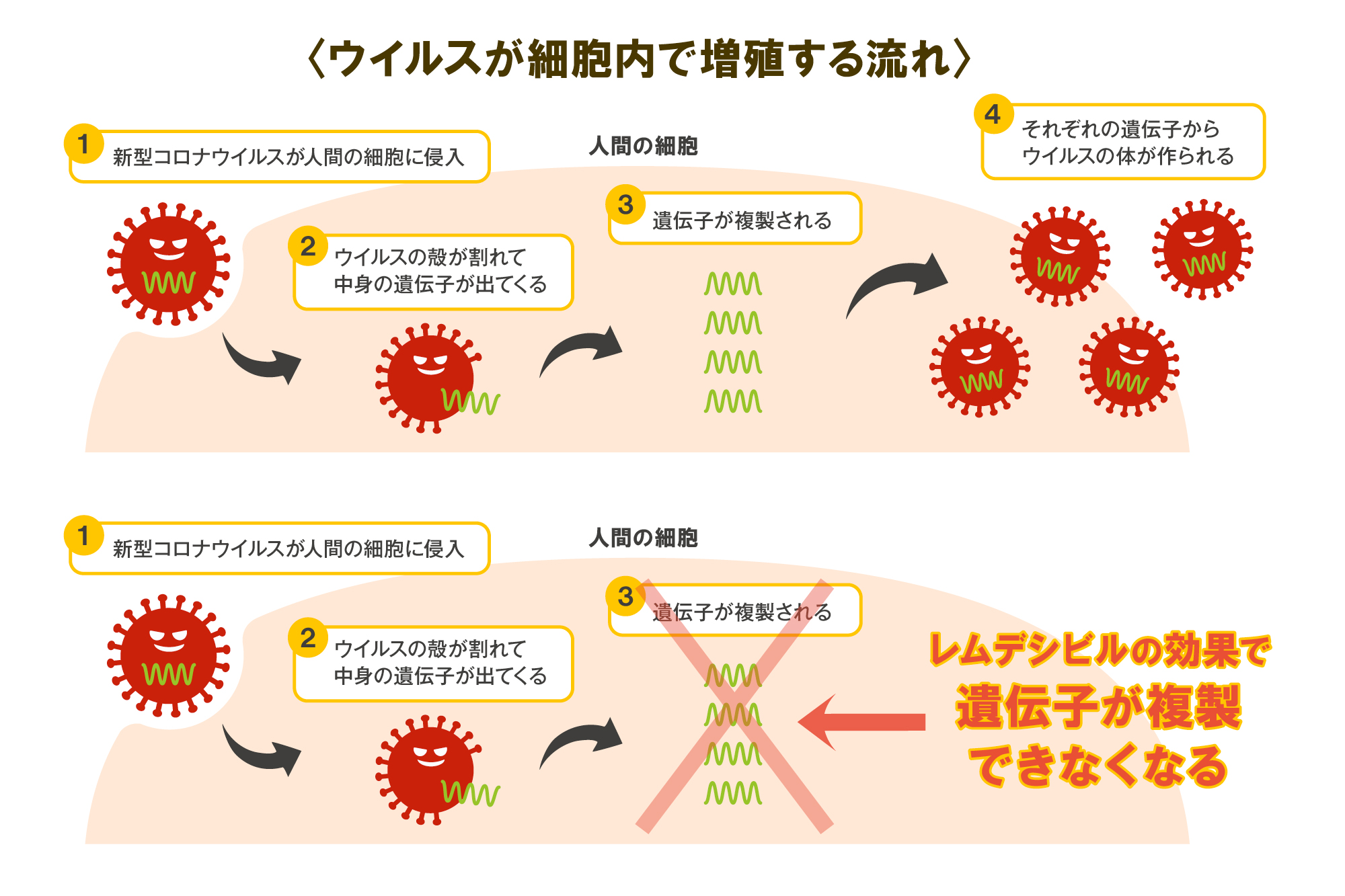 いつ コロナ 頃 ワクチン
