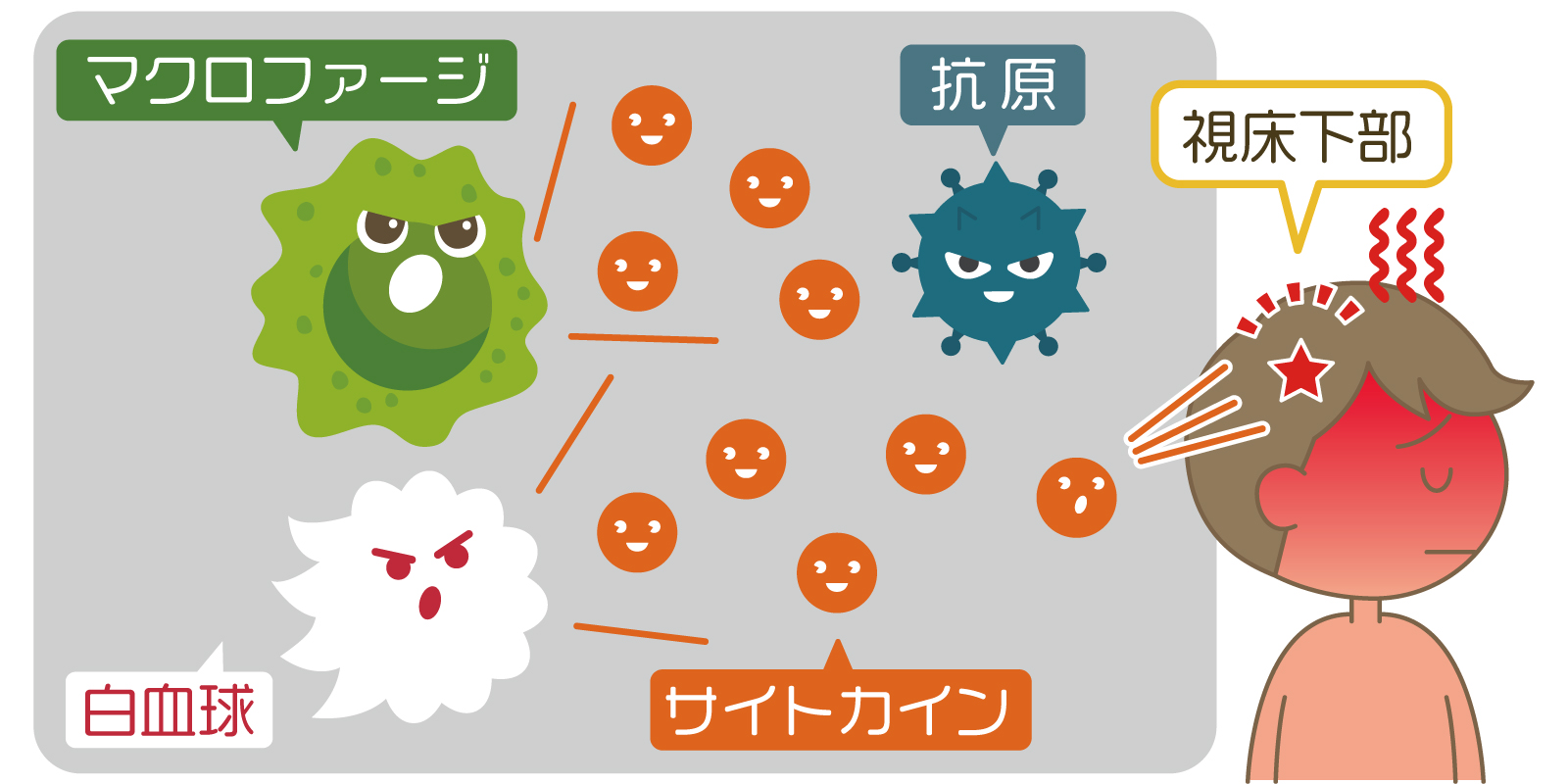 発熱は免疫が働いている証拠 発熱のメカニズムやメリットを解説 やさしいlps