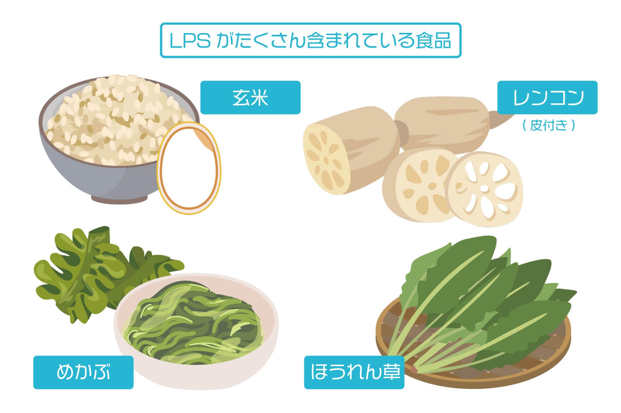 LPSが多く含まれる食品（玄米・レンコン・ほうれん草・めかぶ）