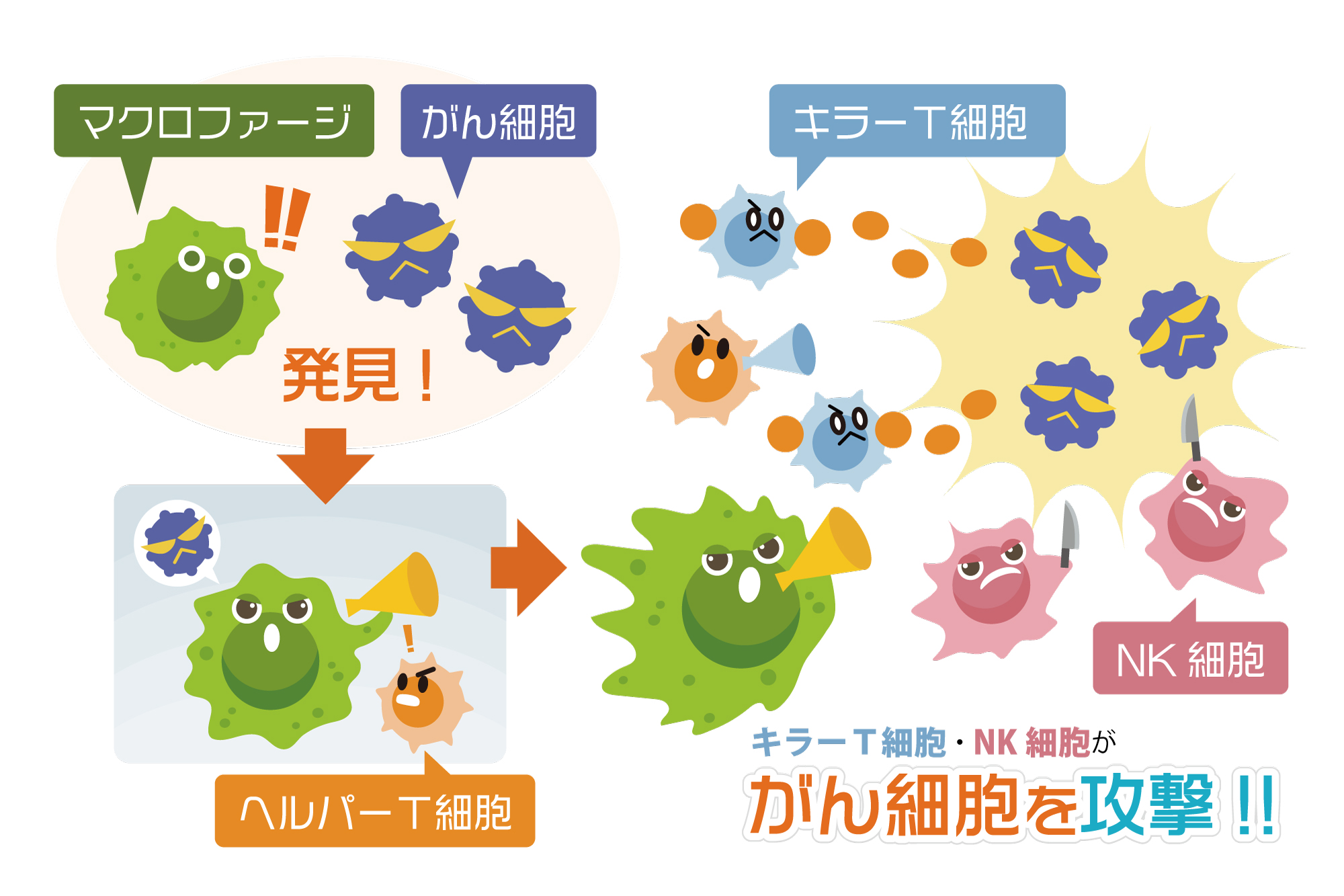 免疫 力 を 高める 方法 がん