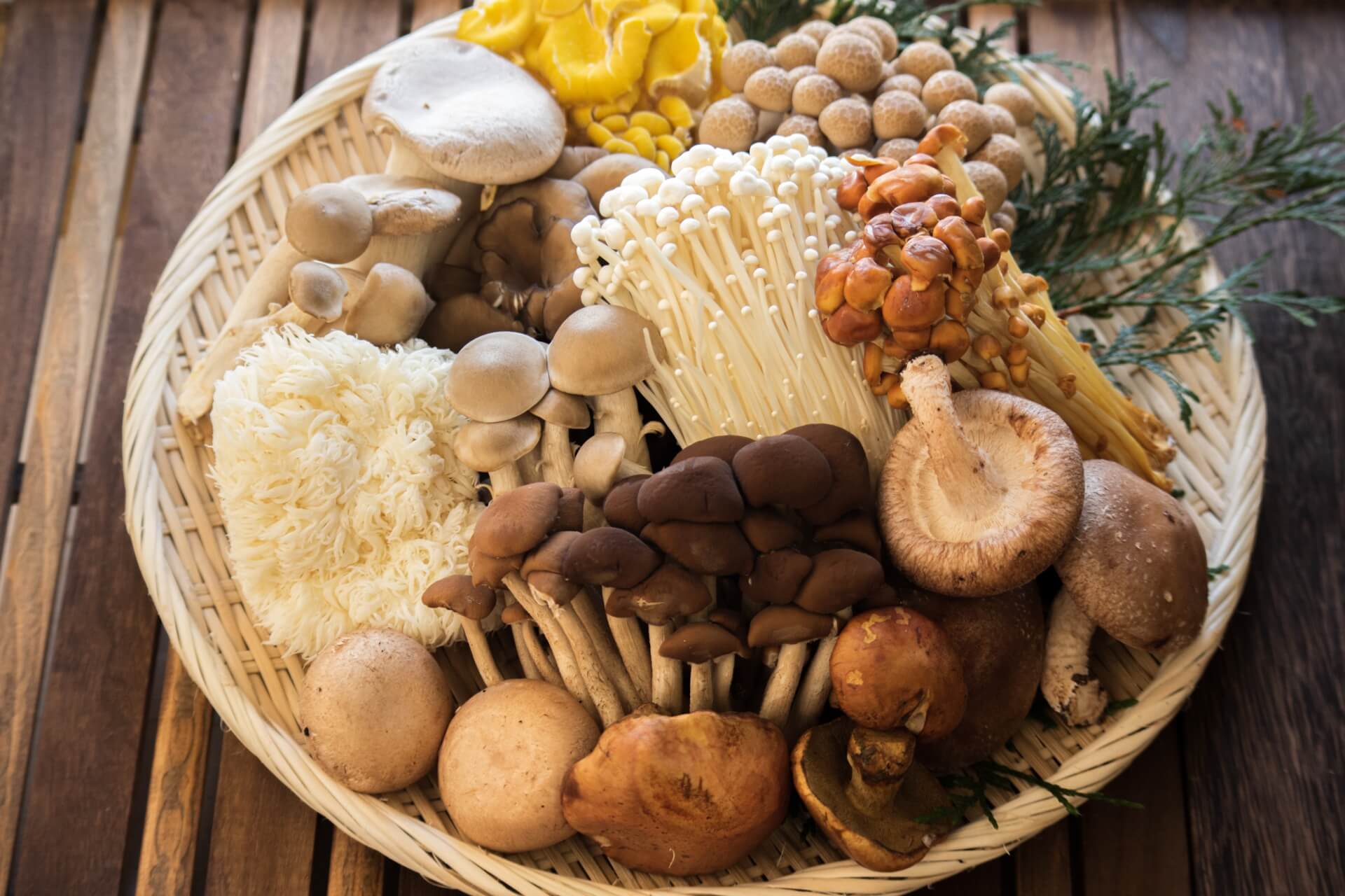 免疫力アップにはきのこがいい？きのこに含まれる嬉しい成分や食べ方をご紹介！