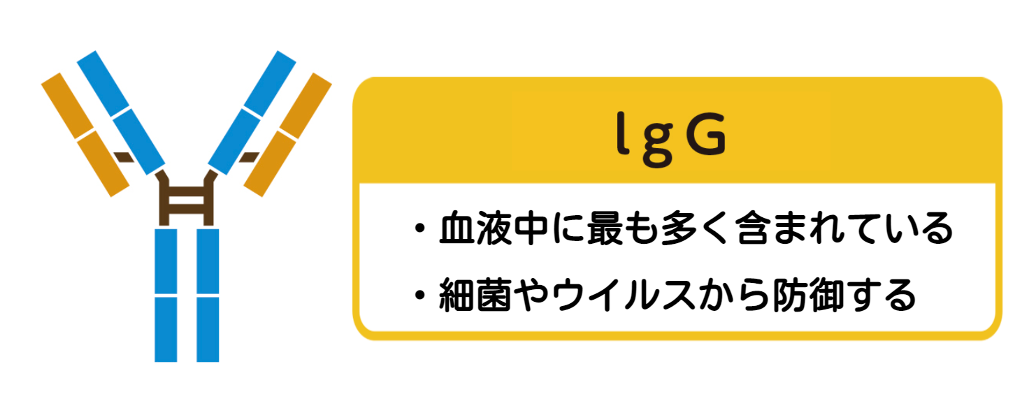赤ちゃんの免疫力はどうなっている 赤ちゃんを感染症から守る方法も紹介 やさしいlps