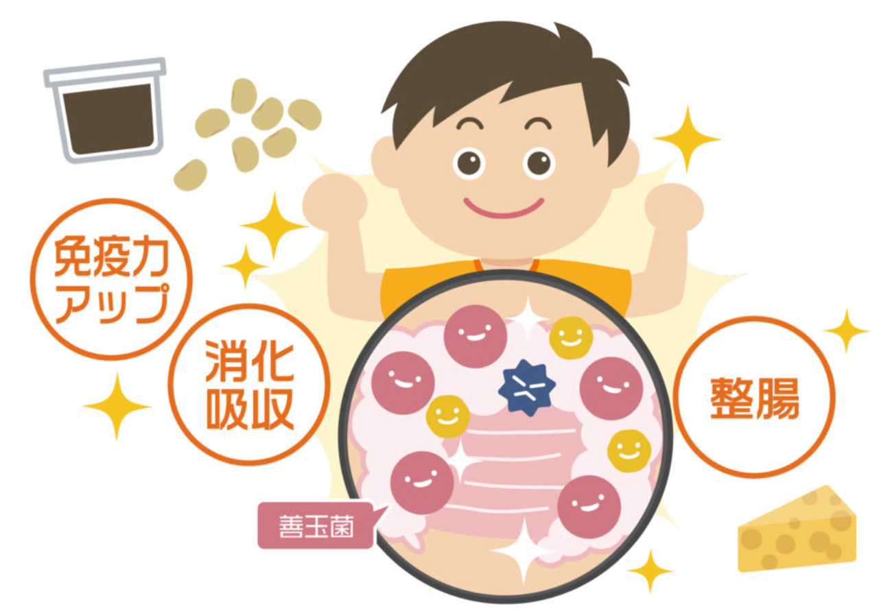 免疫力 と は 何 か – 健康法 – WCDZ