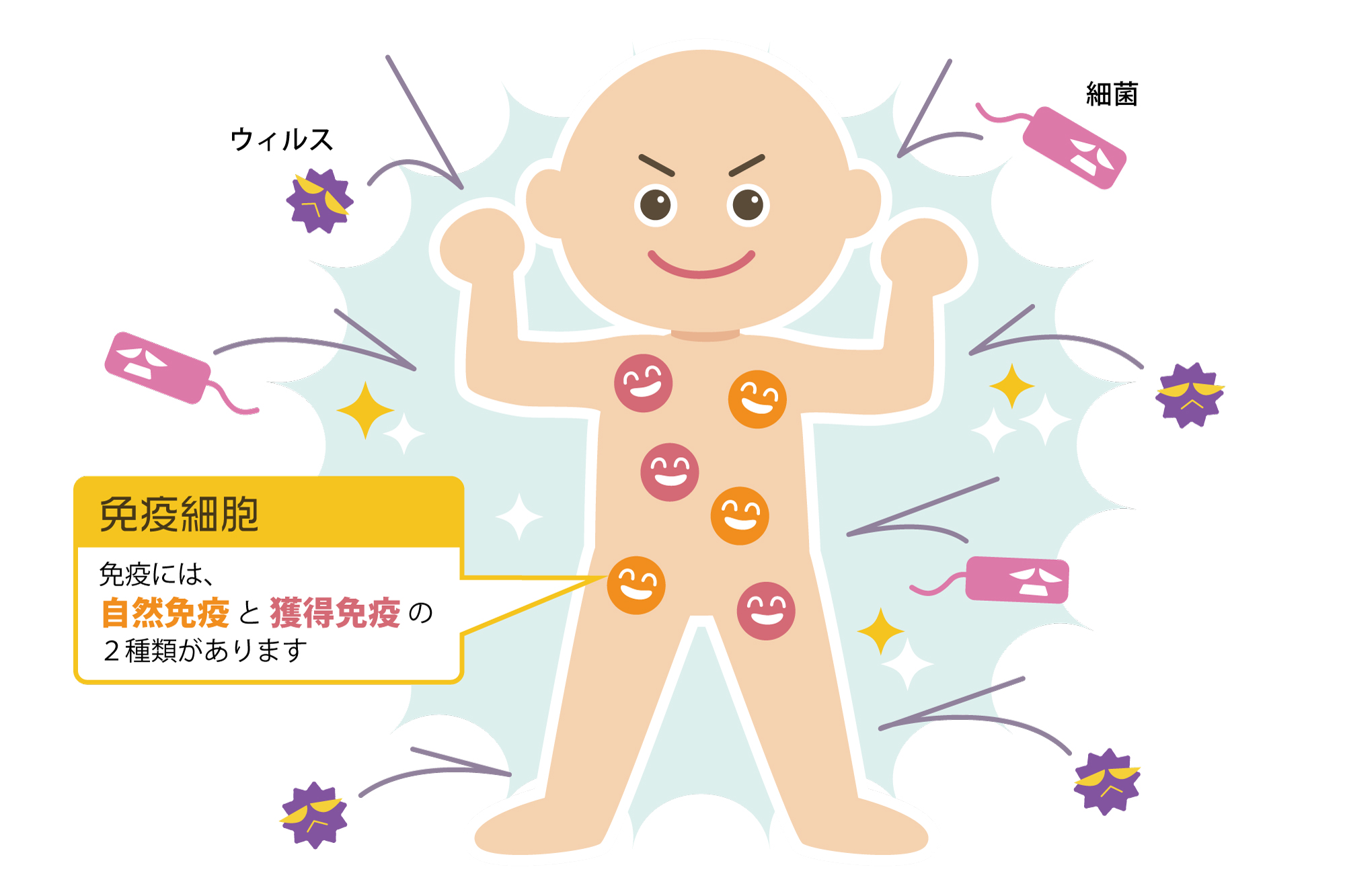 免疫力が低下すると発症しやすくなる病気とは やさしいlps