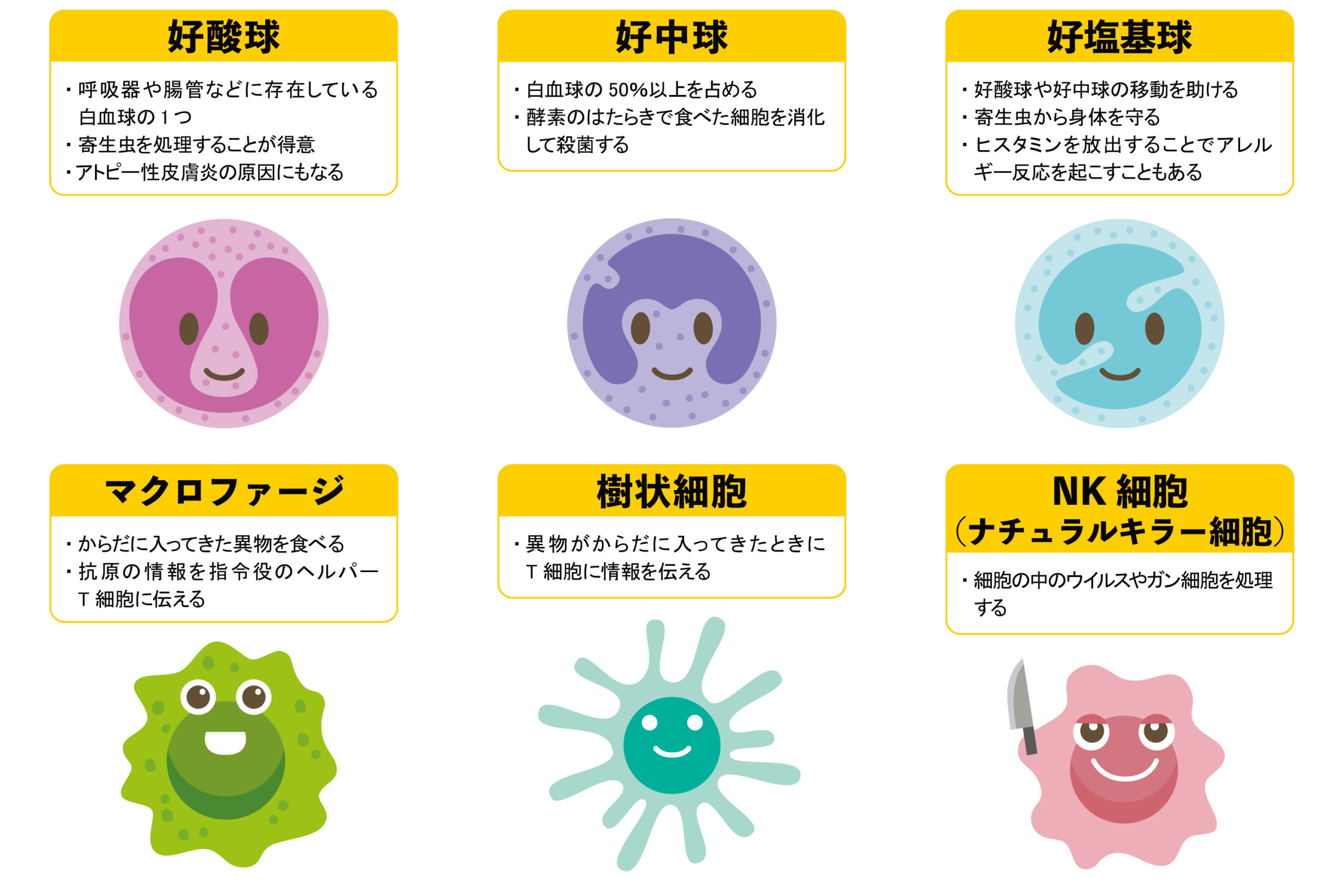 自然免疫 獲得免疫とは わかりやすく免疫の仕組みを解説します やさしいlps 自然免疫 獲得免疫とは わかりやすく免疫の仕組みを解説します やさしいlps