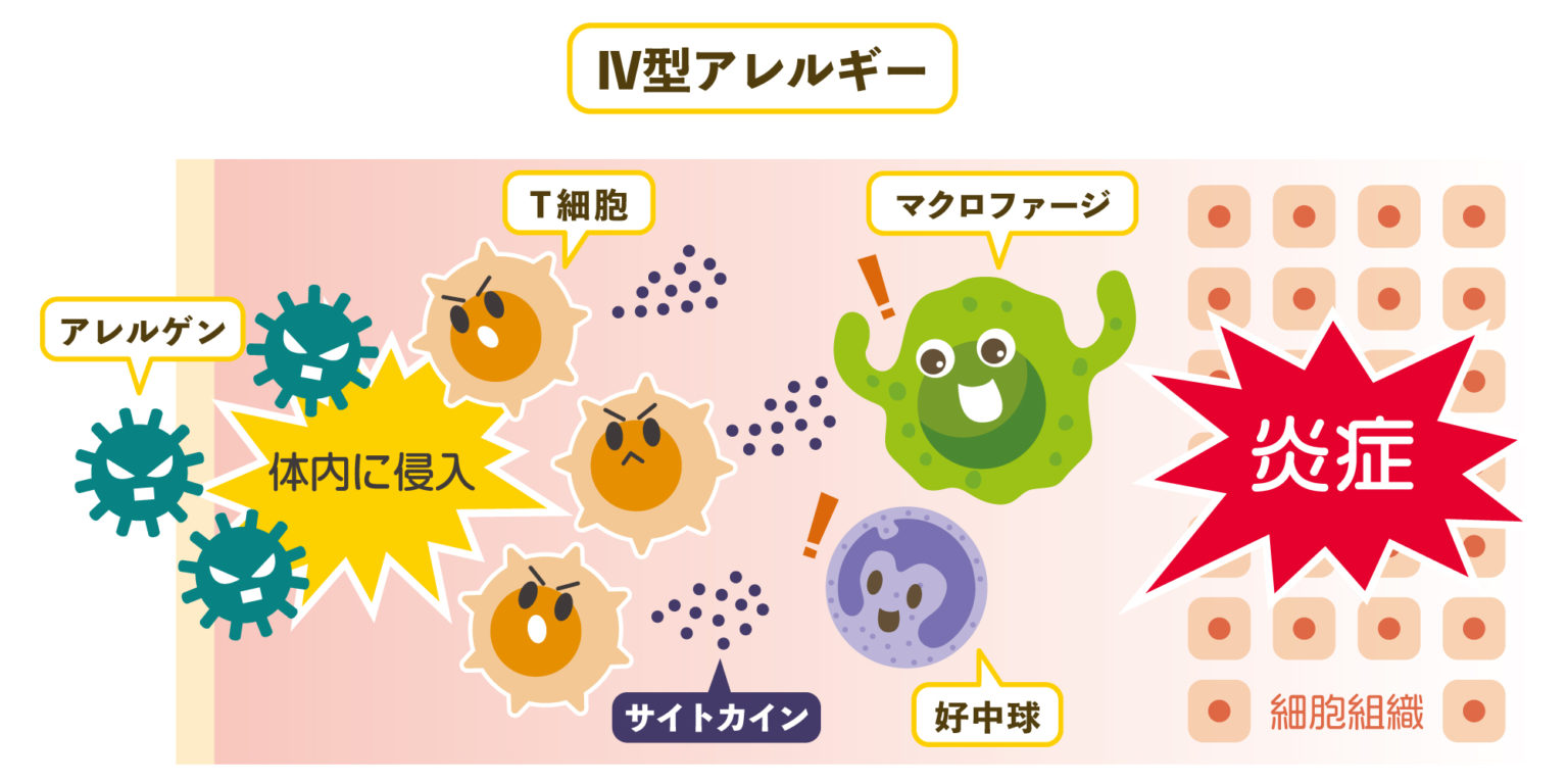 アナフィラキシーとチェリー