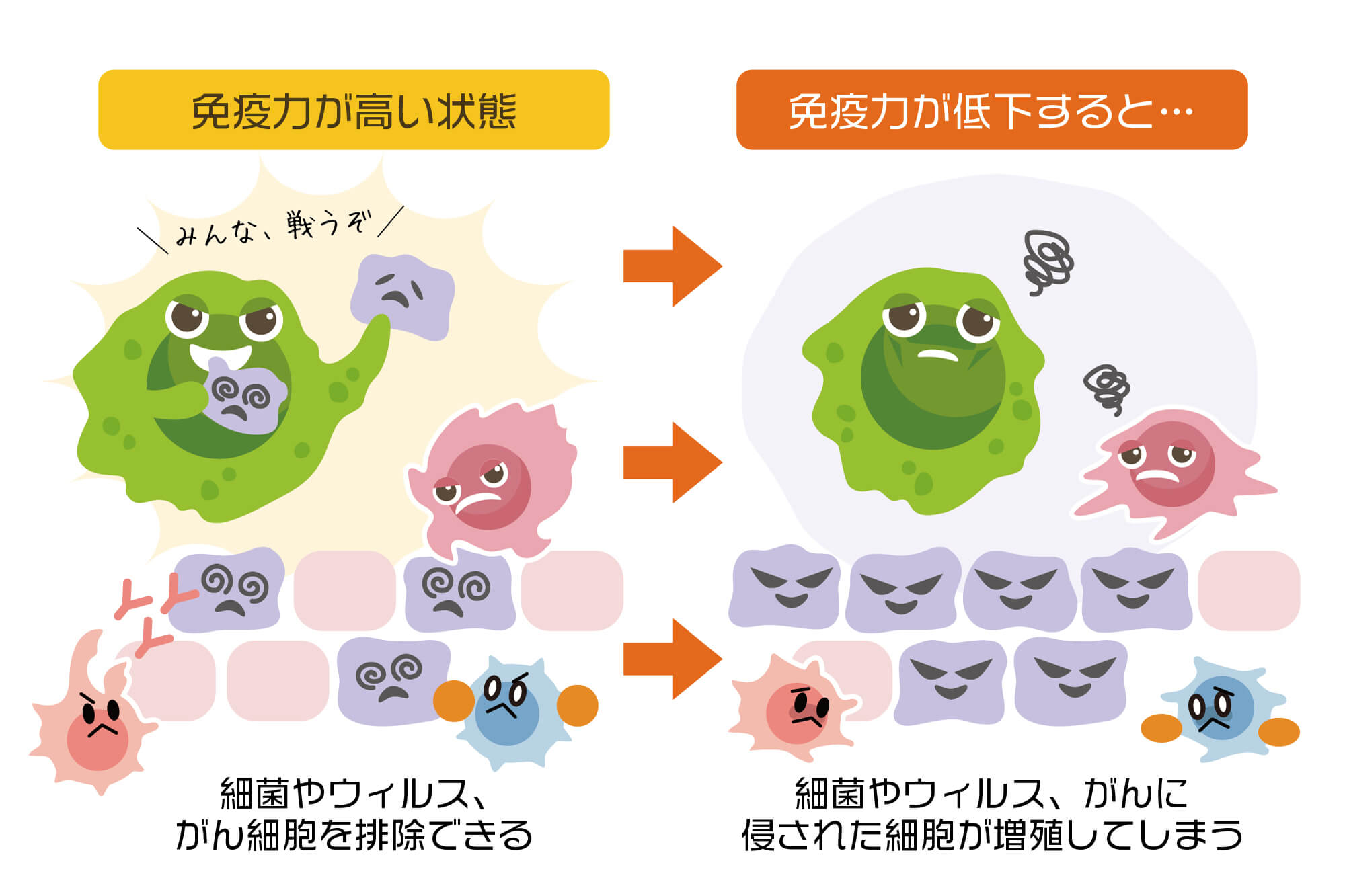 免疫力の高い状態と低い状態