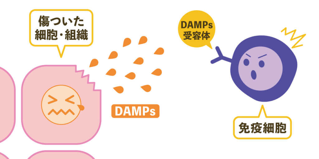 感染症にかかっていない自然免疫反応