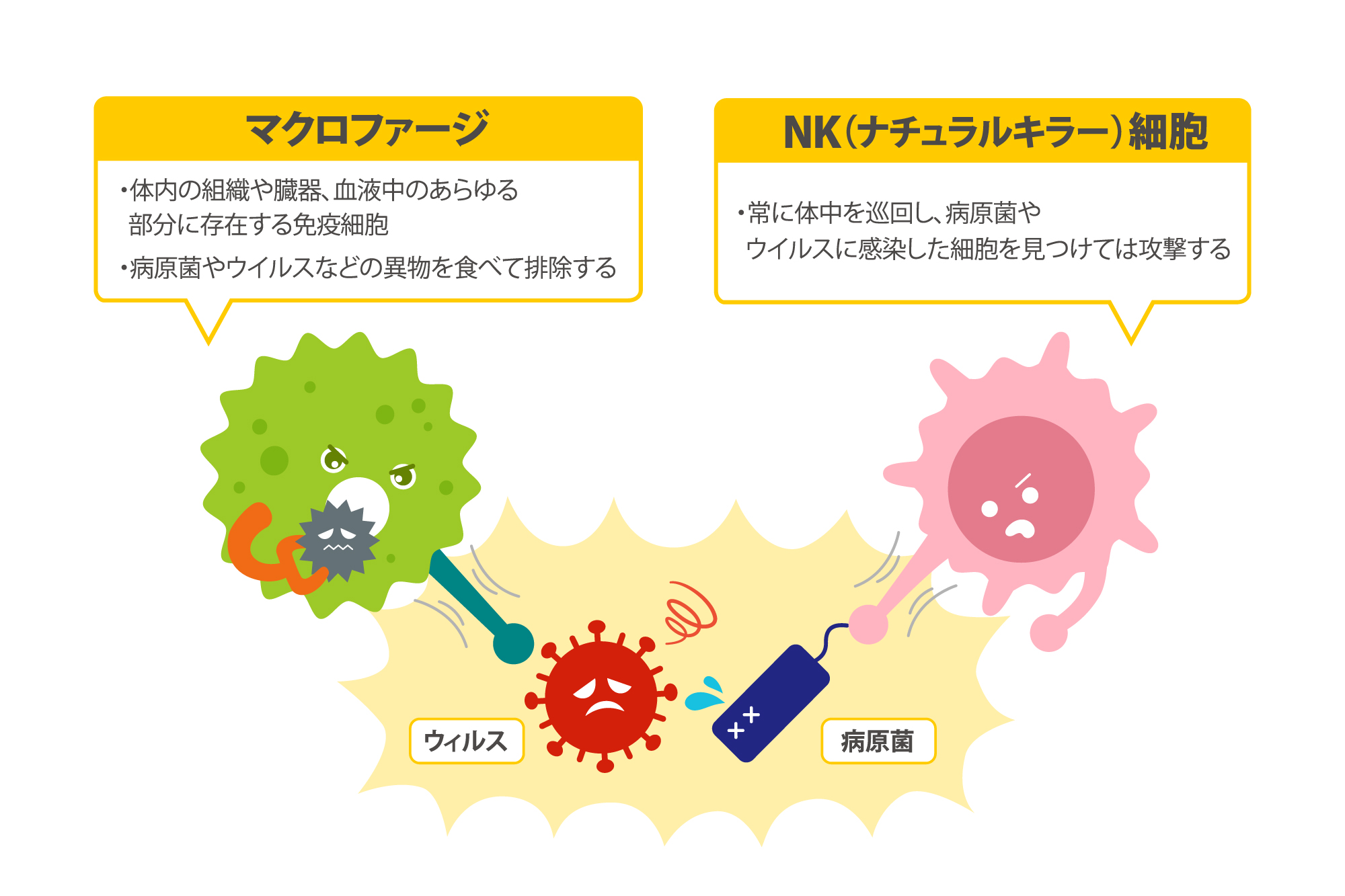 感染 防御 に 有用 でない の は どれ か