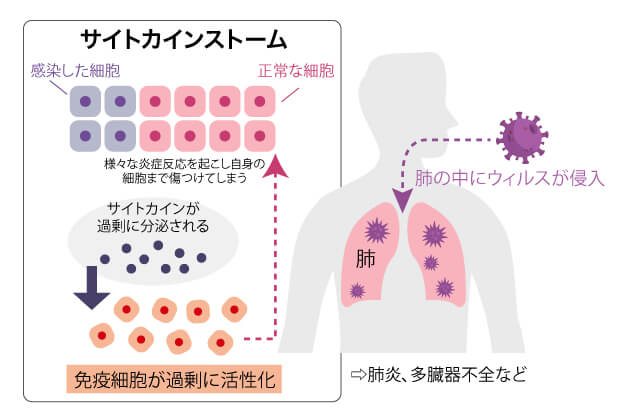 サイトカインの種類