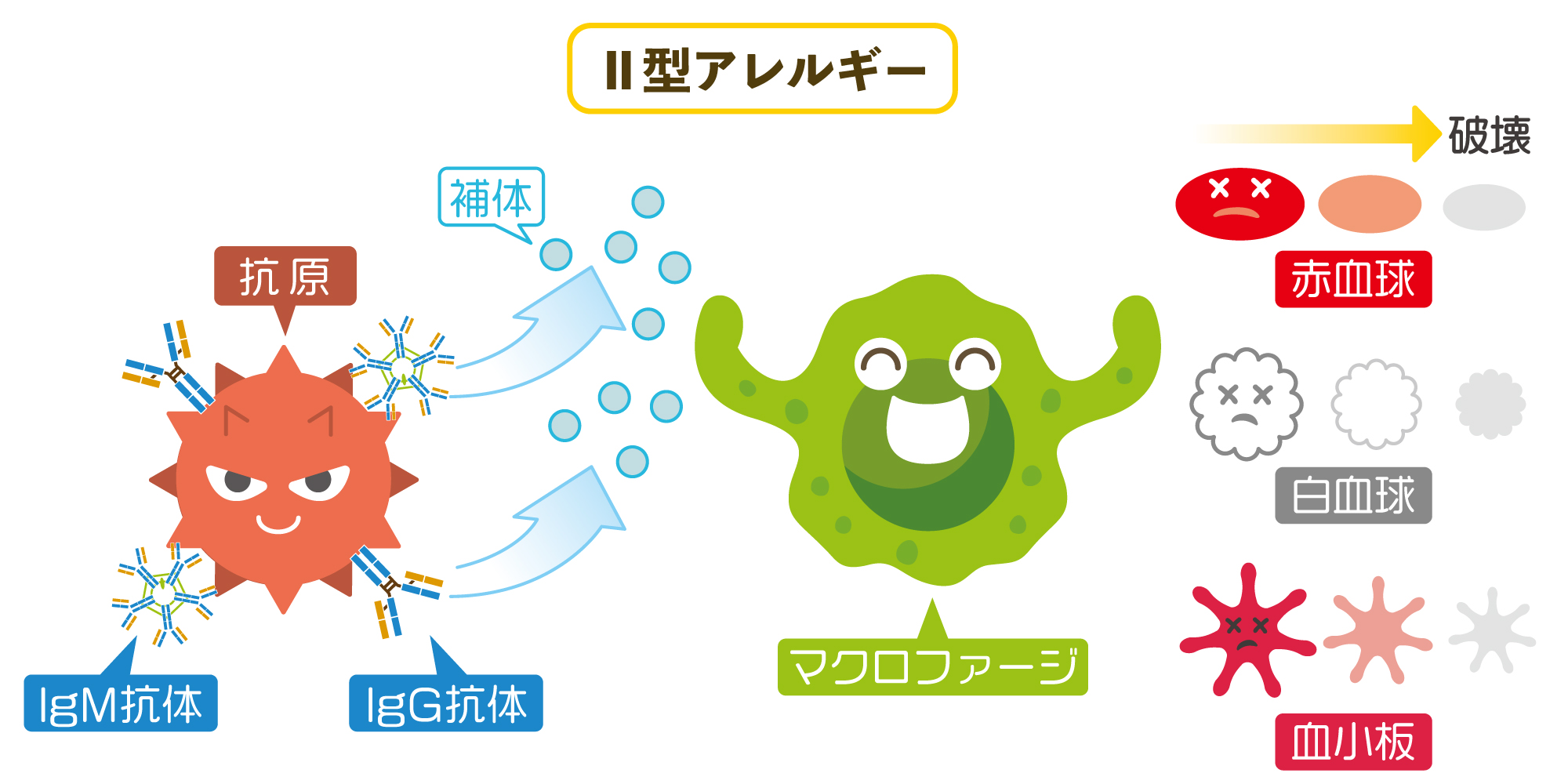 免疫の過剰反応とは 代表的な過剰反応のメカニズムや症状 やさしいlps