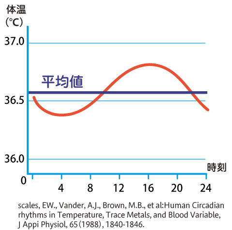 体温の日内変化を示した図