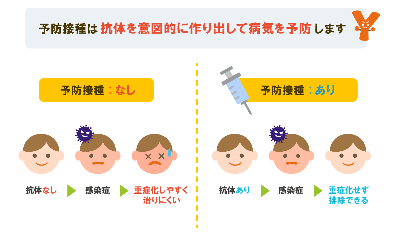 赤ちゃんの免疫力はどうなっている 赤ちゃんを感染症から守る方法も紹介 やさしいlps