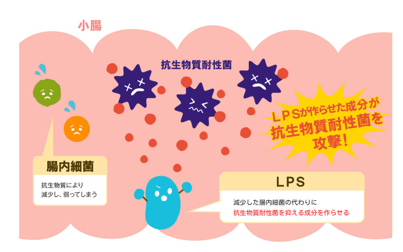 調子が良くない腸の説明図