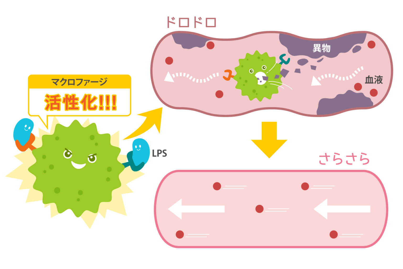 血管内の異物を除去