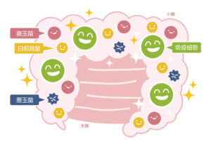 子供の免疫力を高める方法6選！免疫機能の特徴を知って風邪に負けない体を育てよう