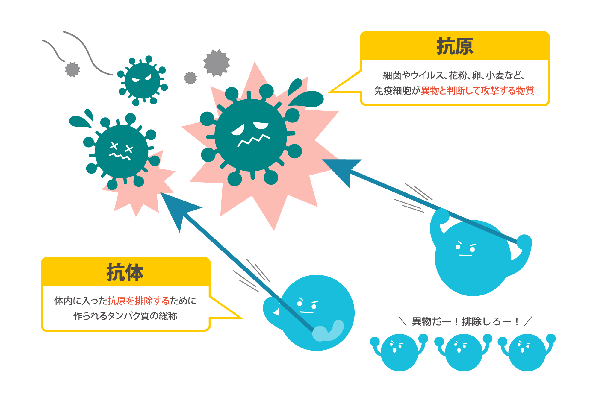 ワクチンの仕組み、抗原、抗体、投与することで体内の病原体に対する抗体が作られる、感染症に対する免疫ができる