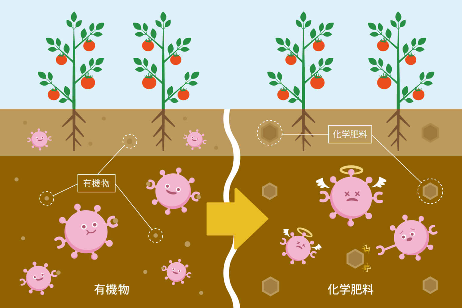 農薬た化学肥料を使う畑はLPSが少ない