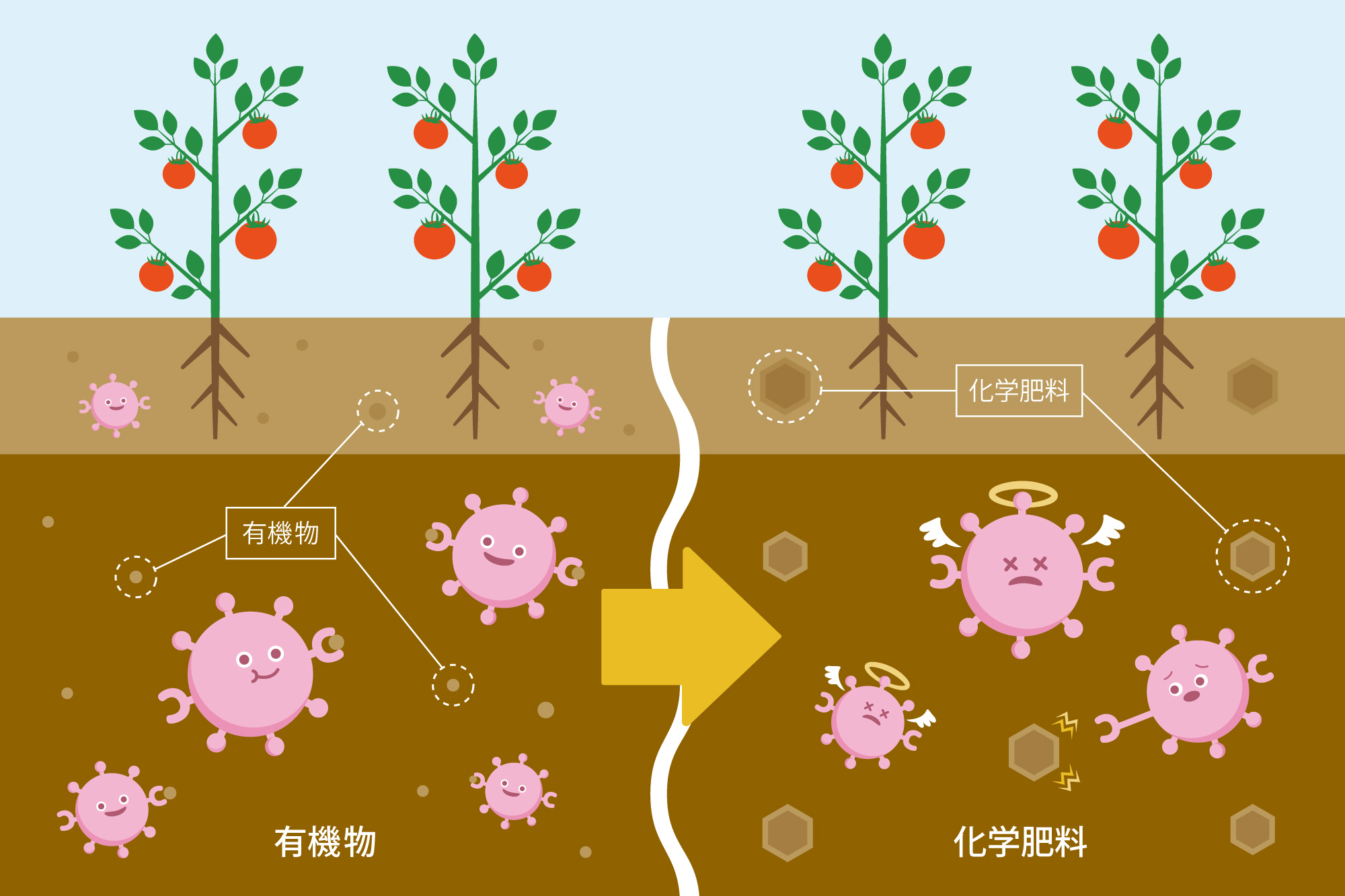 野菜や穀物にLPSは含まれている、土壌、化学肥料、農薬、細菌類の減少、LPSの減少