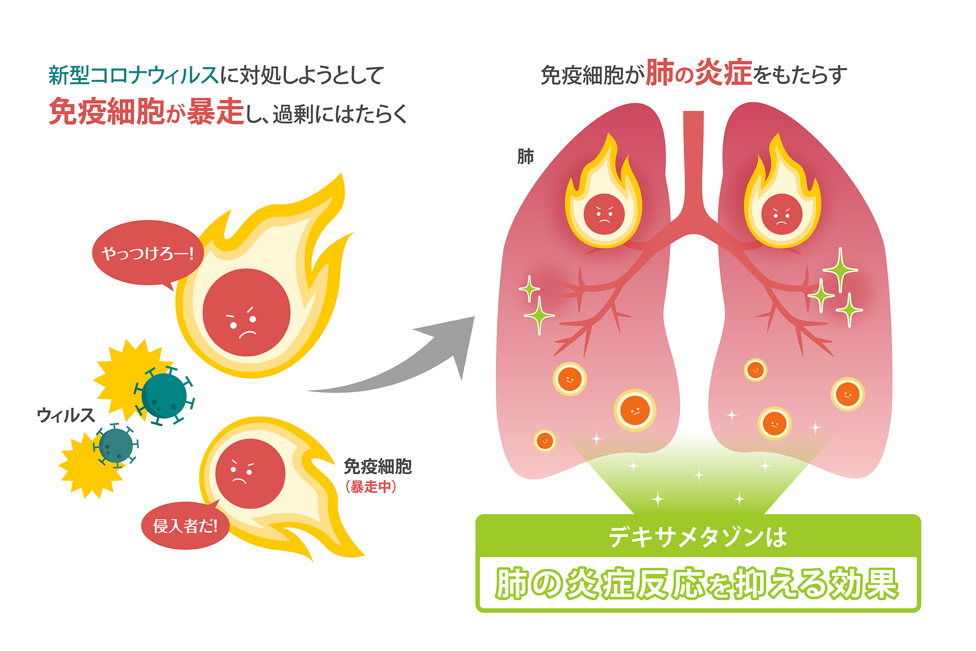 薬 コロナ 効く ウイルス に