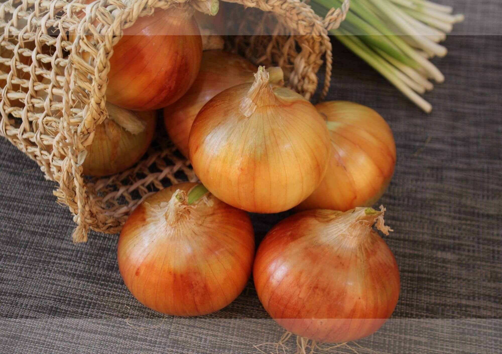 玉ねぎを食べると頭痛がするのはアレルギー？症状が出た時の対処法について
