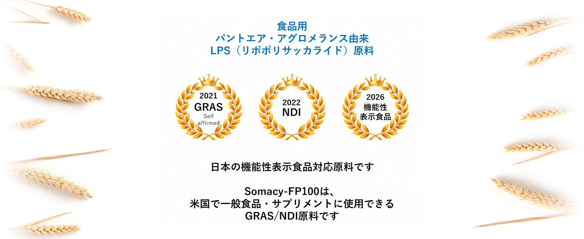 パントエア菌由来LPS原料　小麦醗酵抽出物（Somacy-FP100）　●自己認証GRAS　●NDI認証